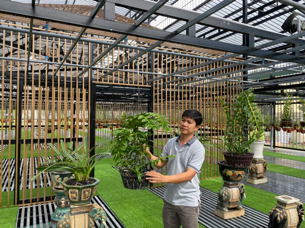 Nguyễn Tấn Lên: Thành công với mô hình trồng lan trên mái nhà và những chia sẻ về câu chuyện khởi nghiệp từ hoa phong lan (lan Var)