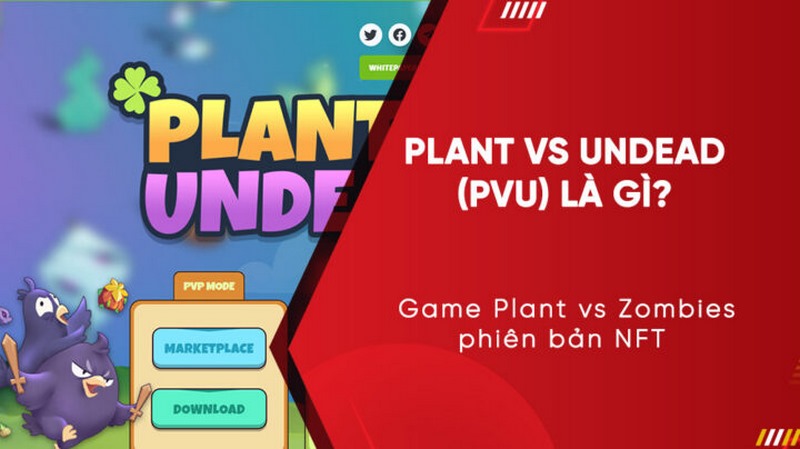 Lịch sử plant vs undead coin và các loại PVU đang lưu hành