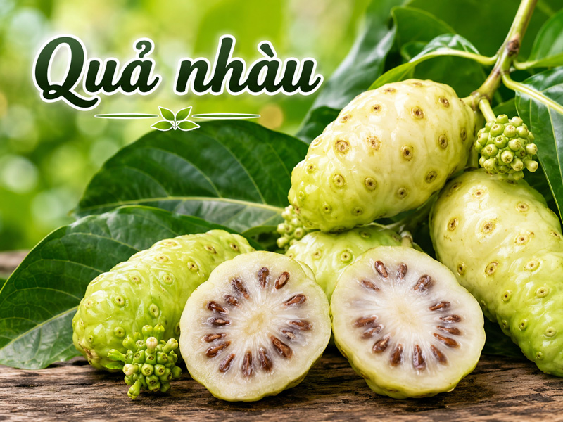 Những rủi ro cần lưu ý khi sử dụng quả nhàu không đúng cách