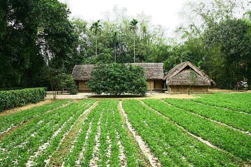 Di tích lịch sử Khu Kim Liên ở Nghệ An - Tiếp thị Sài Gòn