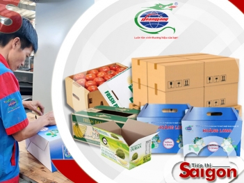 Bao bì Hoàng Long - Giải pháp bao bì carton cho xuất khẩu hàng hóa - Tiếp thị Sài Gòn