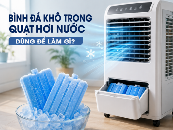 Nhịp sống