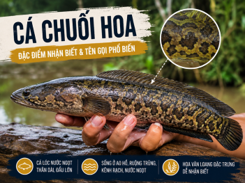 Tác giả Lý Lệ Thiên Kim