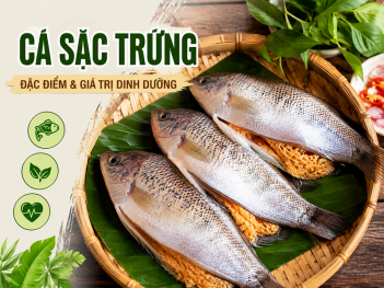 Kiến thức
