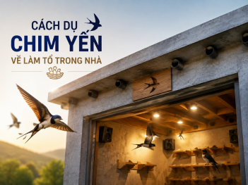 Tác giả Cao Văn Đức Trung