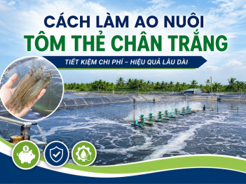 Kiến thức