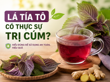 Tác giả Hoàng Thị Bảo Lam