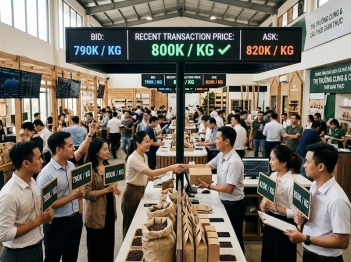 Giá thị trường được hình thành như thế nào?