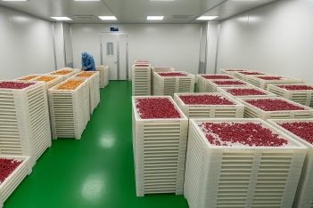 Khay nhựa định hình đạt chuẩn GMP cần đáp ứng điều kiện gì?