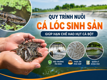 Tác giả Ngô Trần Đức Khang