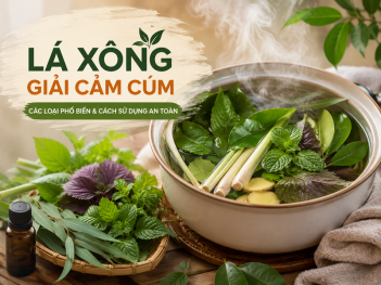 Xông hơi cảm cúm nên dùng lá gì?