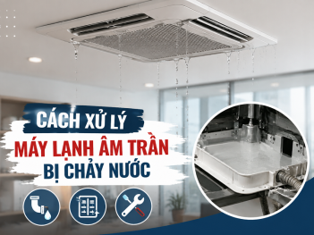 Tác giả Nguyễn Phúc Đức Huy