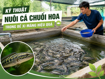 Kiến thức