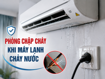 Tác giả Lý Lệ Thiên Kim