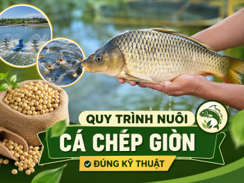 Kiến thức