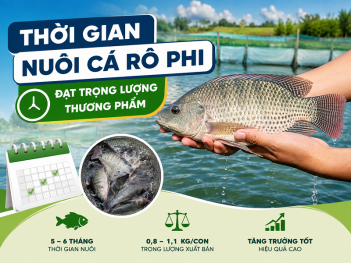 Kiến thức