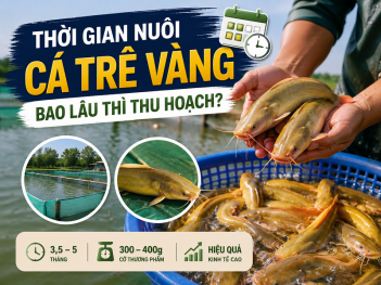 Kiến thức