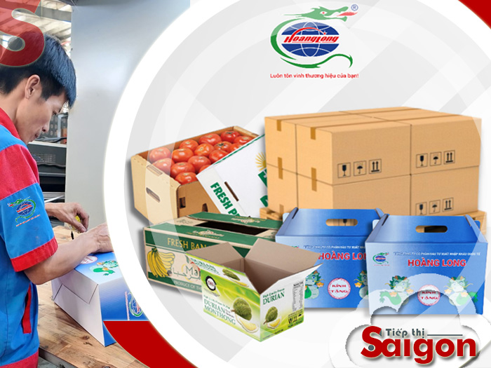 bao bì carton hoàng long