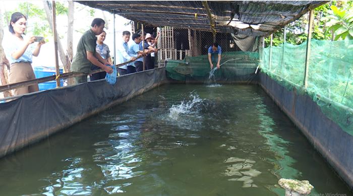 Phương pháp nuôi cá chuối hoa trong bể bạt HDPE tối ưu