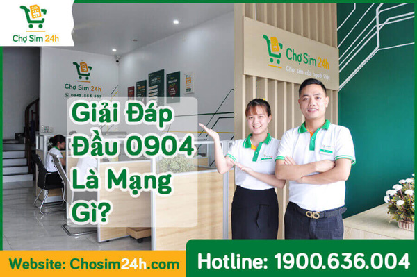 Đầu 0904 là mạng gì? Giải mã ý nghĩa phong thủy đầu 0904 - Tiếp thị Sài Gòn